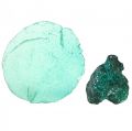 Floristik24 Oyster shells capiz discs in net turquoise 3.5–9.5cm 2pcs
