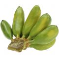 Floristik24 Baby banana perennial artificial green 13cm