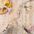 Decorative Ribbon with Dachshund Motif, 15mm x 18m, Cream and Brown, 100% Polyester | Floristik24.co.uk