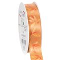 Floristik24 Autumn Decorative Ribbon with Leaf Pattern, 25mm x 18m, Polyester