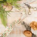 Holly and Berry Decorative Ribbon with Wired Edges 25mm x 18m Beige | Floristik24.co.uk