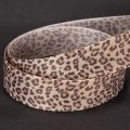 Decorative Leopard Print