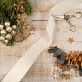 Decorative Velvet Ribbon 40mm x 20m Cream for Crafts and Gift Wrapping | Floristik24.co.uk