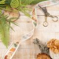 Decorative Ribbon with Mushroom and Autumn Leaves Design, 25mm x 18m Beige Polyester | Floristik24.co.uk