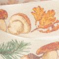 Decorative Ribbon with