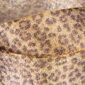 Leopard Print Ribbon 25mm x