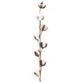 Artificial cotton branch with