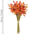 Bunch of orange berries, 20cm long | Floristik24.co.uk