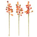 Bunch of orange berries, 20cm long | Floristik24.co.uk