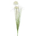 Floristik24 Artificial flowers ball flower allium ornamental onion artificial white 90cm