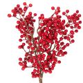 Floristik24 Artificial Holly Branches with Red Berries 47cm Decorative Stems for Vases Pack of 3

```html
<h2>Artificial Holly Branches with Red Berries for Seasonal Decoration</h2>
<p>
These artificial holly branches with vibrant red berries are perfect for adding a