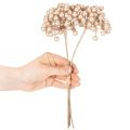 **Artificial Champagne-Coloured Berry Stems Set of 3 for Decoration 28cm**

```html
<h2>Decorative Artificial Champagne-Coloured Berry Stems</h2>

<p>These artificial berry stems in champagne colour are a versatile and stylish addition to your seasonal ho | Floristik24.co.uk