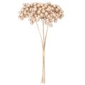 **Artificial Champagne-Coloured Berry Stems Set of 3 for Decoration 28cm**

```html
<h2>Decorative Artificial Champagne-Coloured Berry Stems</h2>

<p>These artificial berry stems in champagne colour are a versatile and stylish addition to your seasonal ho | Floristik24.co.uk