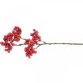 Floristik24 Decorative branch with red berries berry branch autumn decoration 26cm 6pcs