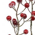 Floristik24 Berry branch red iced 52cm