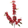 Floristik24 Kunststoff Branch with Red Berries and Green Leaves 96cm