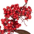 Kunststoff Branch with Red Berries and Green Leaves 96cm | Floristik24.co.uk