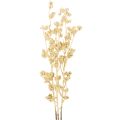 Floristik24 Artificial Gold Berry Branch Set 70cm 3 Pieces

```html
<h2>Artificial Gold Berry Branch – Decorative Seasonal Styling</h2>

<p>This set of artificial gold berry branches features three intricately crafted stems, measuring 70cm in length. Made from durabl