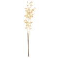 Artificial Gold Berry Branch Set 70cm 3 Pieces

```html
<h2>Artificial Gold Berry Branch – Decorative Seasonal Styling</h2>

<p>This set of artificial gold berry branches features three intricately crafted stems, measuring 70cm in length. Made from durabl | Floristik24.co.uk
