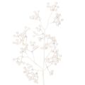 Floristik24 Artificial White Berry Stem 52cm for Indoor Winter and Christmas Decoration  

```html
<h2>Artificial White Berry Stem for Seasonal Home Decoration</h2>

<p>
This artificial white berry stem, measuring 52cm, is a versatile decorative piece for enhancing y
