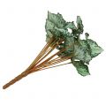 Floristik24 Artificial begonia bush green 30cm