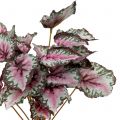 Floristik24 Artificial begonia bush green, violet 34cm
