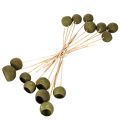 Bell Cup on Stick Green Dried Exotic 5-7cm 15pcs | Floristik24.co.uk