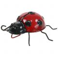 Floristik24 Ladybug 10cm