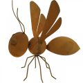 Floristik24 Decorative figure bee, metal insect, garden decoration with patina L20cm H19cm