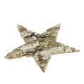 Birch stars 6cm 100 pcs | Floristik24.co.uk