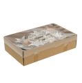 Birch stars 6cm 100 pcs