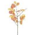 Floristik24 Autumn decoration, decorative beech branch, decorative artificial branch 72.5cm