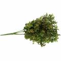 Floristik24 Boxwood decorative branch green 40cm
