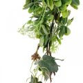 Floristik24 Leaf garland deco garland artificial plant green 180cm