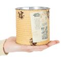 Tin can decorative can Apricot metal plant pot Ø11cm H10.5cm | Floristik24.co.uk