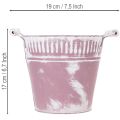 Tin bucket, purple and white washed, Ø19cm H17cm, 1 pc. | Floristik24.co.uk