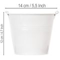 White tin buckets Ø14cm H12cm 6 pcs | Floristik24.co.uk
