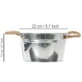 Glossy metal bowl with rope handles, Ø22cm | Floristik24.co.uk