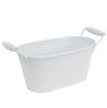 Floristik24 Sheet metal bowl with handle white oval 20x11cm H9cm 1p