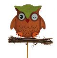 Floristik24 Decorative plug owl 7cm 12pcs
