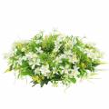 Floristik24 Wreath anemone/dill green, white Ø30cm