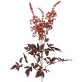 Floristik24 Artificial flower Astilbe long-stemmed splendor 80cm
