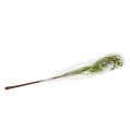 Floristik24 Flowering branch green, white 80cm 3pcs