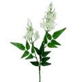 Floristik24 Flowering branch white 78cm 3pcs