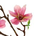 Floristik24 Magnolia mini pink, pink L53cm 3pcs