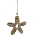 Floristik24 Flower to hang, wooden decoration with pattern, spring decoration natural, white H19.5cm