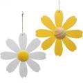 Floristik24 Wood blossoms, summer decoration, daisies yellow and white, decoration flowers for hanging 4pcs