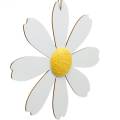 Floristik24 Wood blossoms, summer decoration, daisies yellow and white, decoration flowers for hanging 4pcs