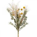 Floristik24 Artificial flowers Craspedia feather grass eucalyptus 55cm bunch
