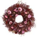 Floristik24 Dried Flower Wreath Burgundy Pink Ø25cm